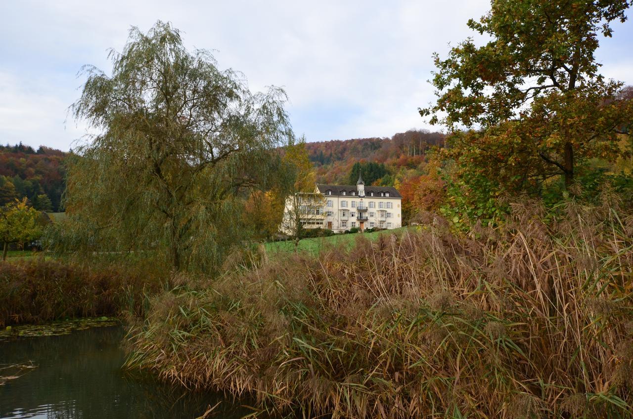 Bad Schauenburg Hotel Liestal Bagian luar foto